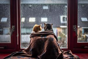 ВСЯ ПРАВДА О ФЛАНЕЛИ